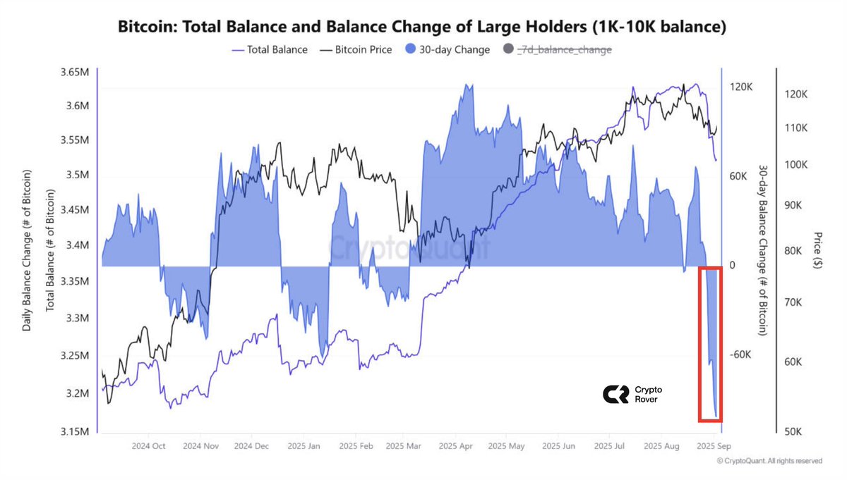 Crypto Rover tweet media