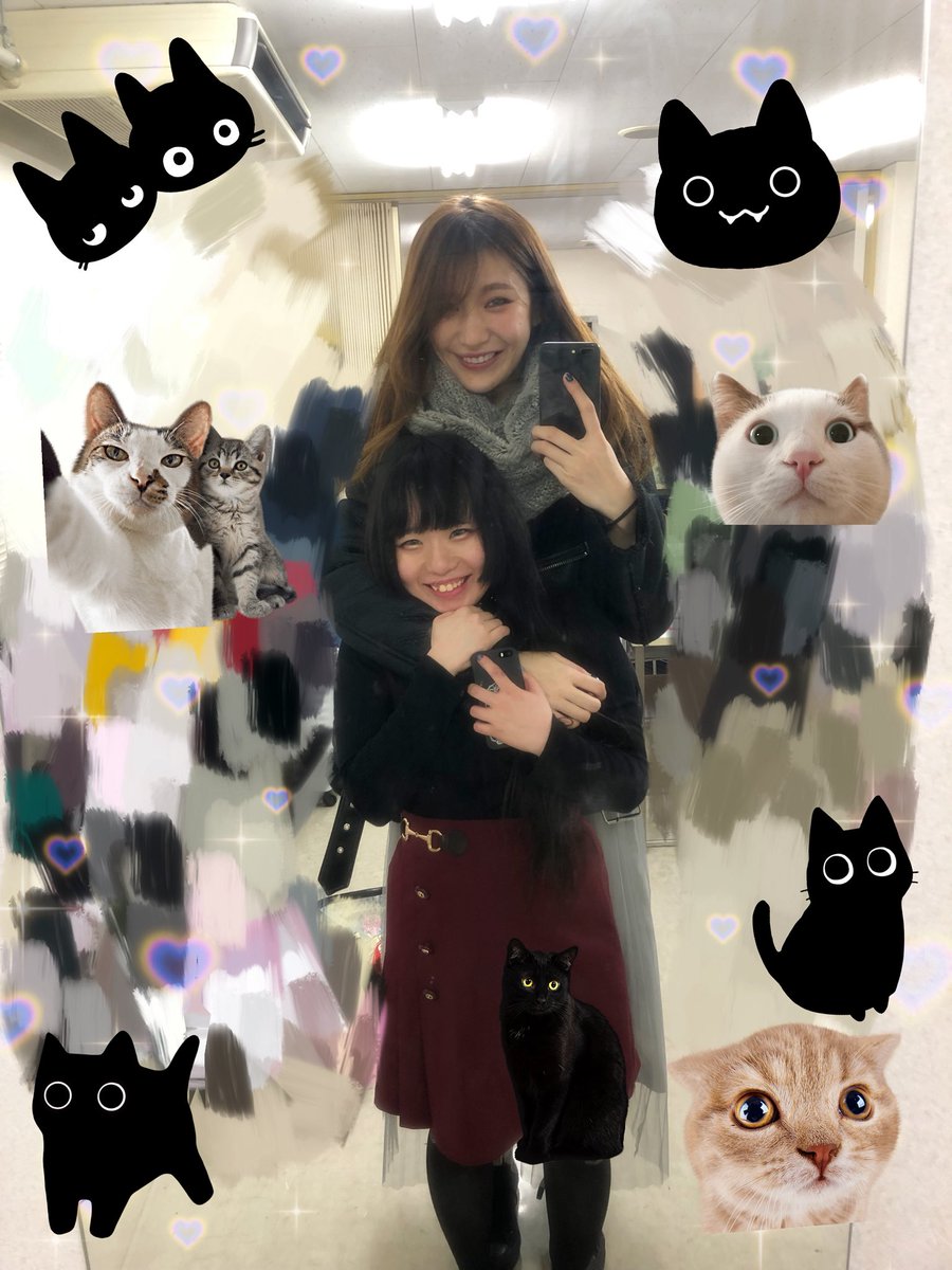 ゆう♡　女の子　ねこちゃん柄 ラグドール猫な女の子 - ふのい - nizima by Live2D