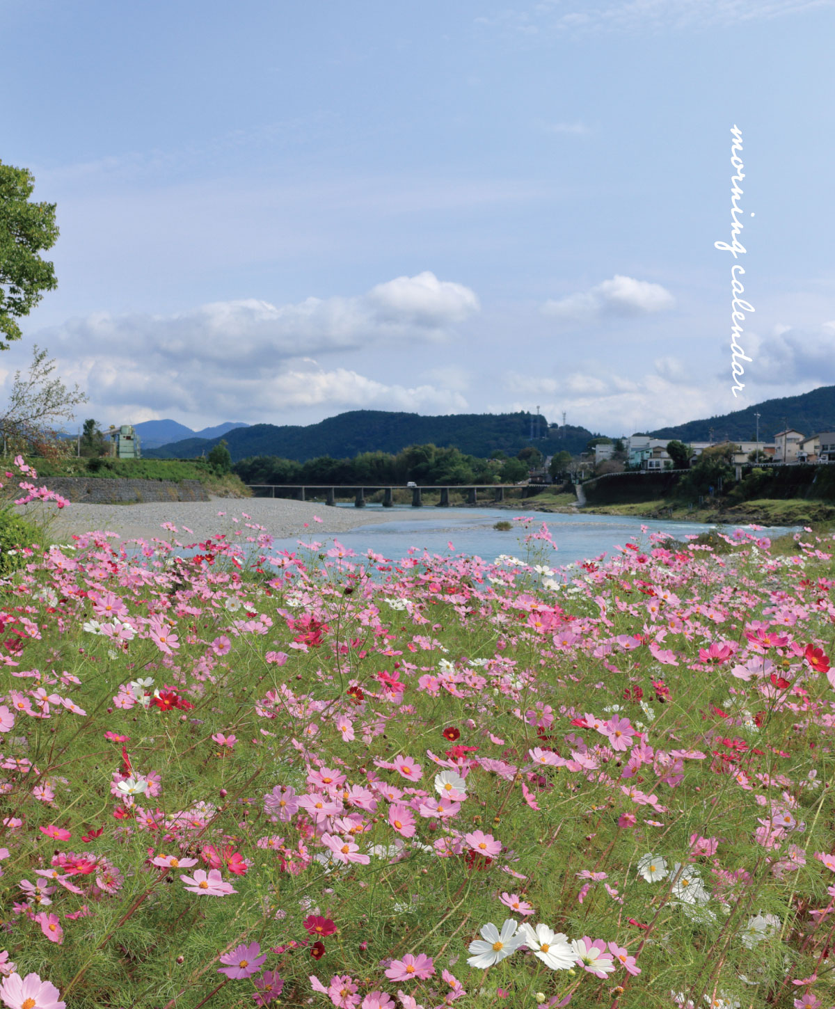 ひよ🌸🍀 on X: 