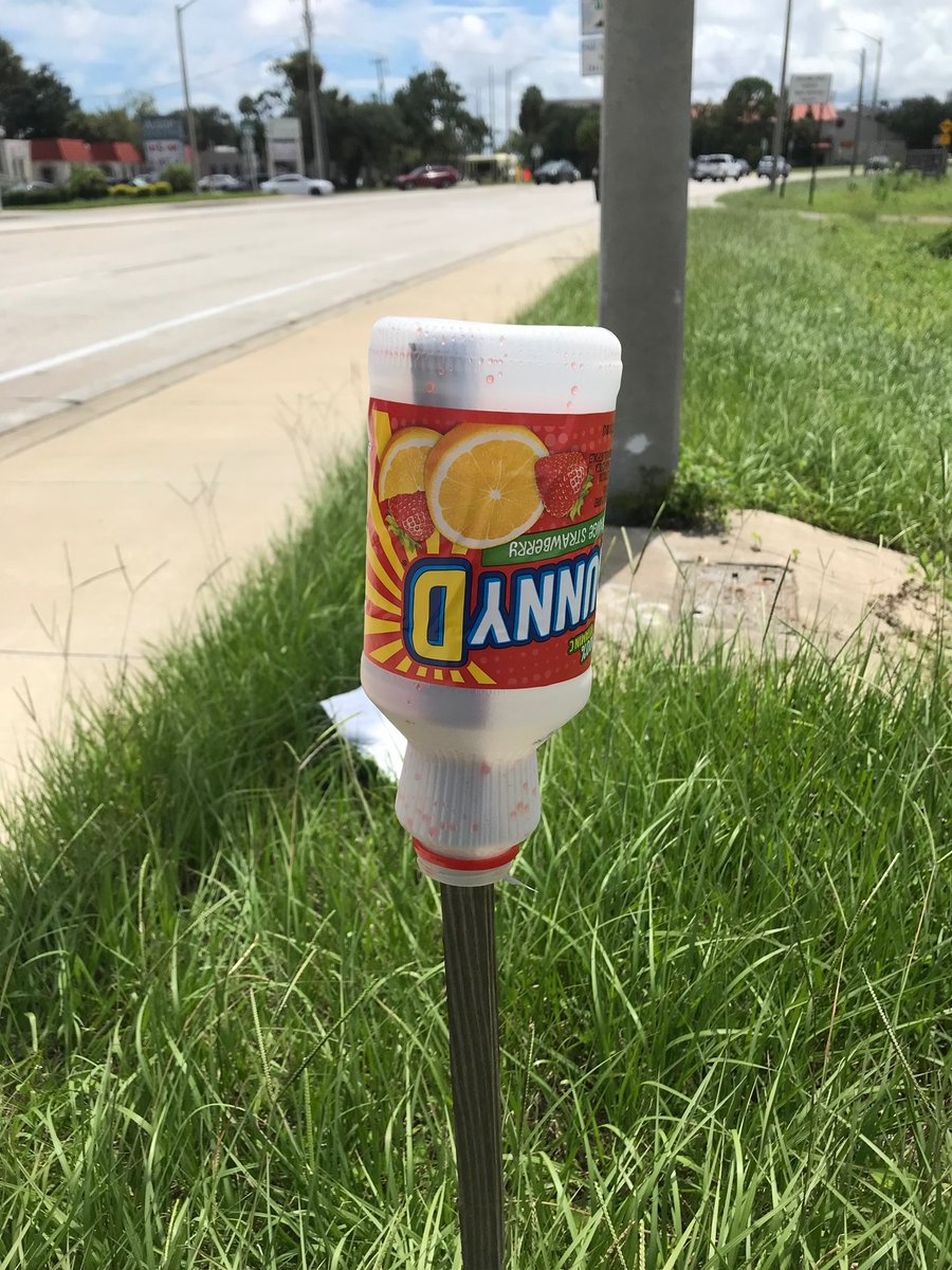 …And You Will Know Us By The Trail Of Sunny D