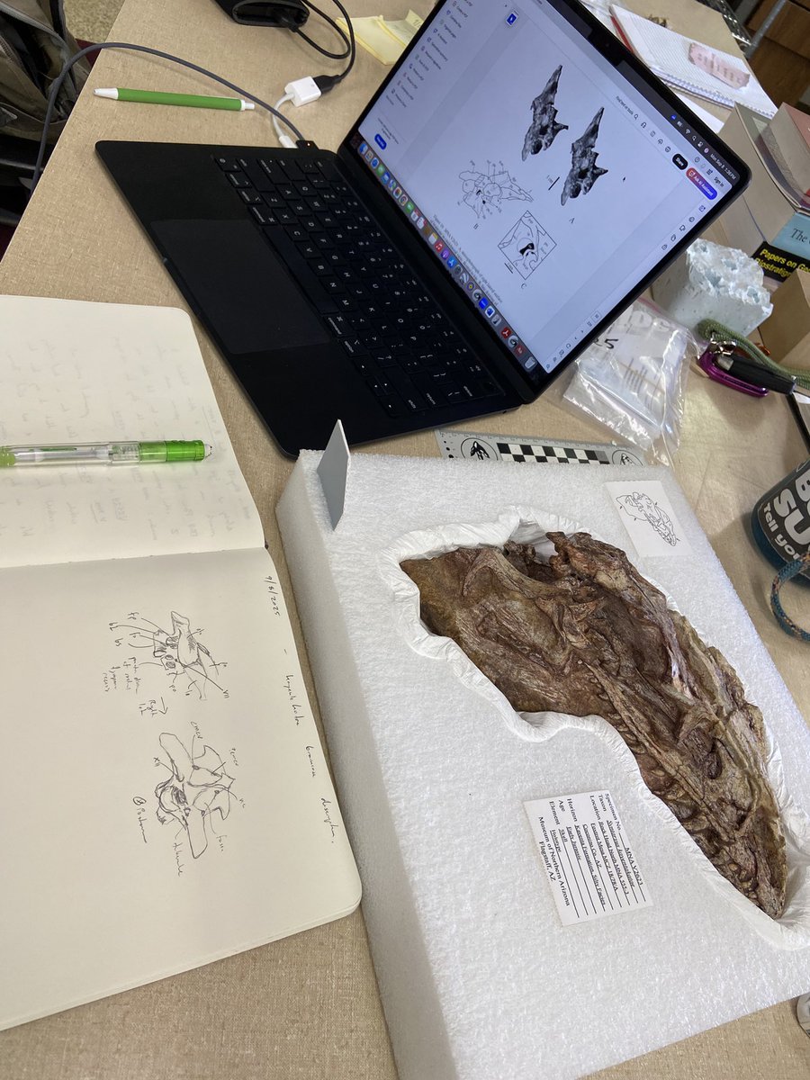 Adam Marsh tweet media