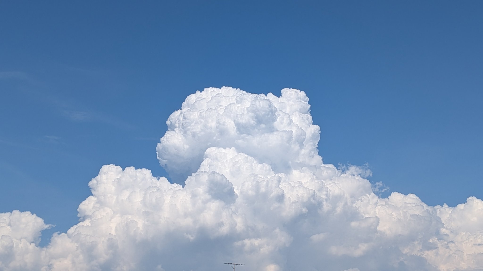 プリンアラモード🍮 (@Purin_a_La_Mode) / X