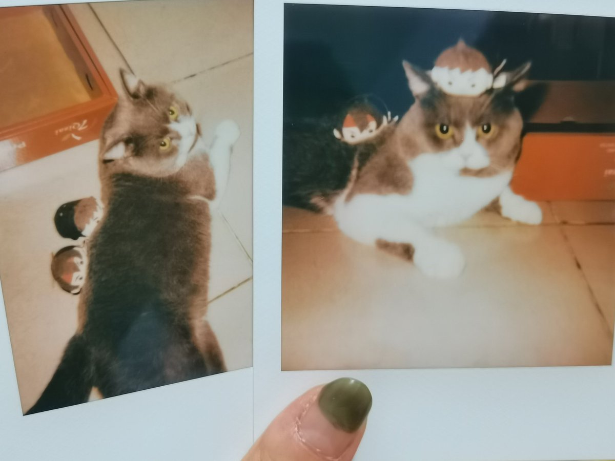 澈森 (@chesenmori) on Twitter photo 