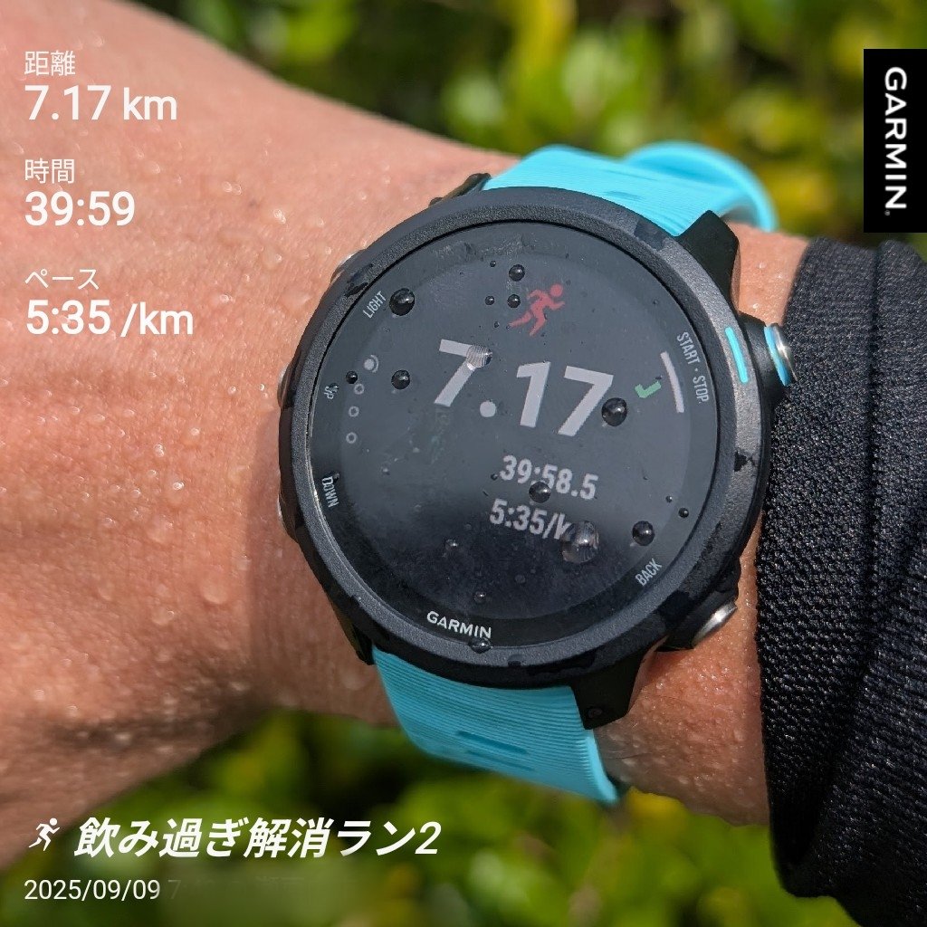 明日から連続飲み会なので
先週末の飲み過ぎ解消ラン

最近投稿サボってますが
昨日と今日の2日分

なんとか週末増量した分は取り戻しました
#run #running #ランニング #jogging #ジョギング #朝ラン #ぼっちラン #ランニング好きな人と繋がりたい #走る人 #ガーミン #garmin #TFCC損傷 #腱脱臼