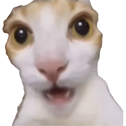 chat it’s been 2 years