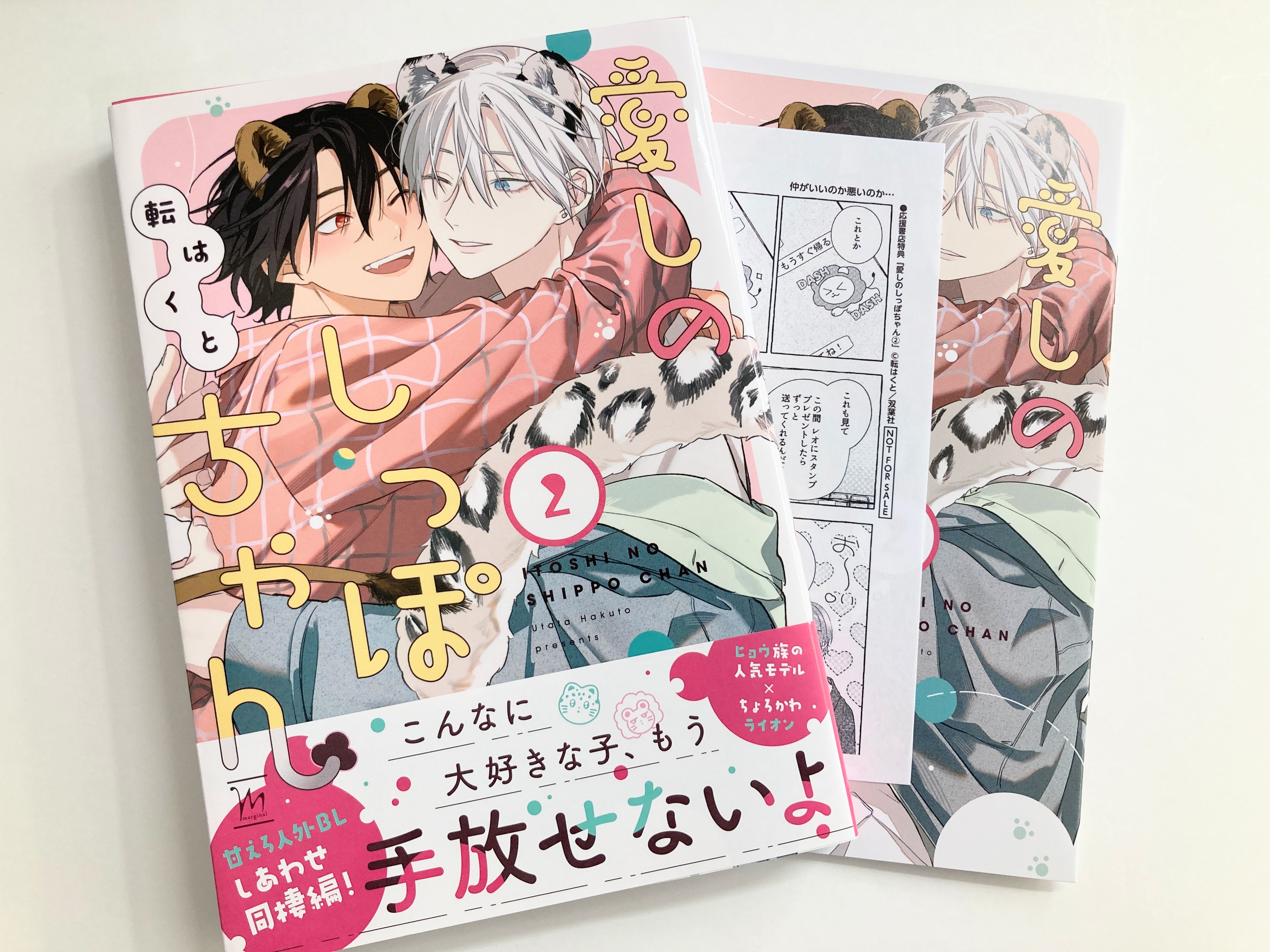 商業BL アニメイト　特典　付き　まとめ売り　セット BL作家20名描き下ろし豪華小冊子プレゼント、BLアワード2024