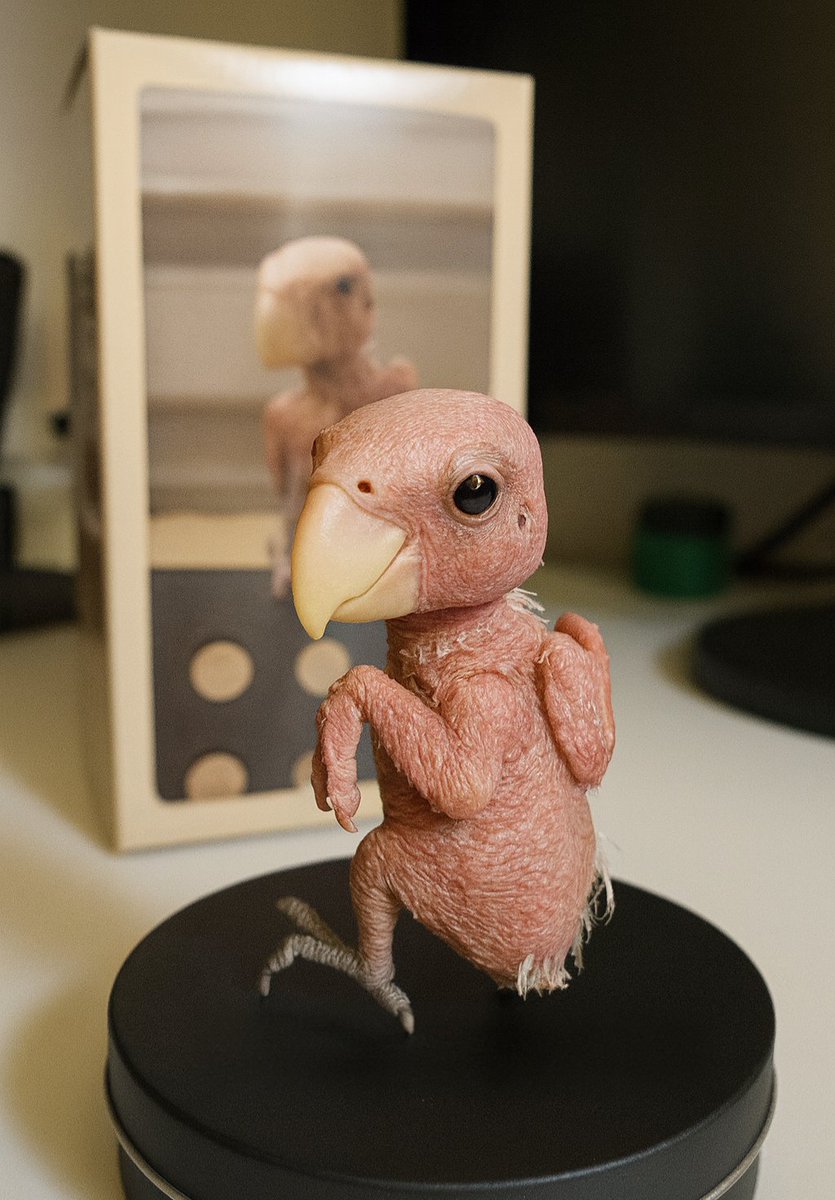 보고싶은 찹쌀이🩷
안녕이라고 말해줄 것 같다.
삑삑 대신 '안녕'이라고 말해줘서
더 사랑스러웠던 우리 귀여운 찹쌀이🐥🩷