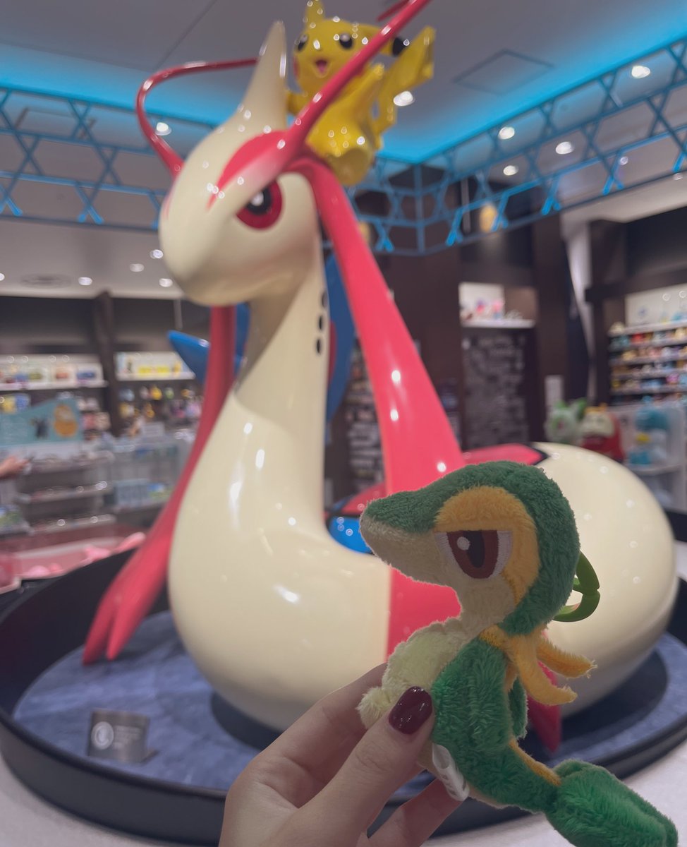 Napopo (@napopo3desu) on Twitter photo 