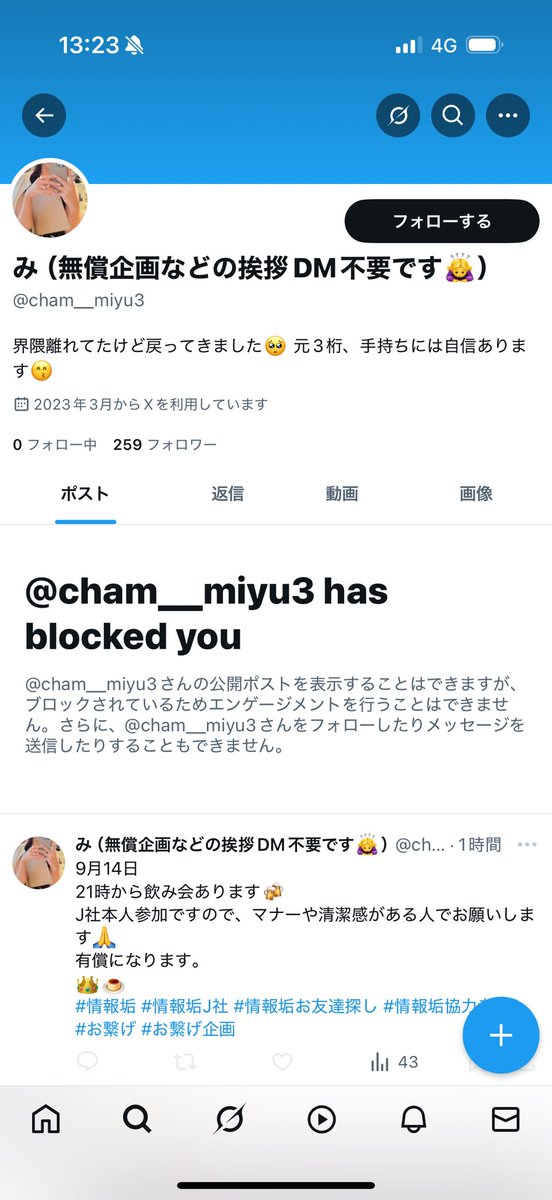 💫 tweet media