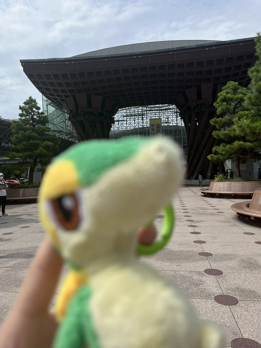 Napopo (@napopo3desu) on Twitter photo 