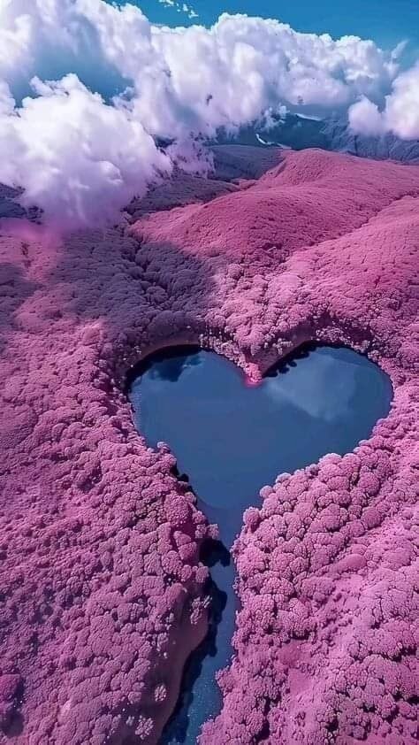 Dünyada pek çok güzel şey var: gün batımları, dağlar, deniz, yıldızlar, güneş ve Sen güzelsin.