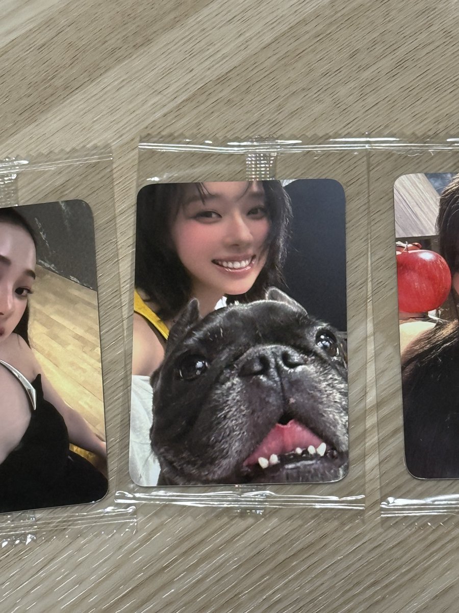 아 웃궈
이거그냥 강아지포카잔아
