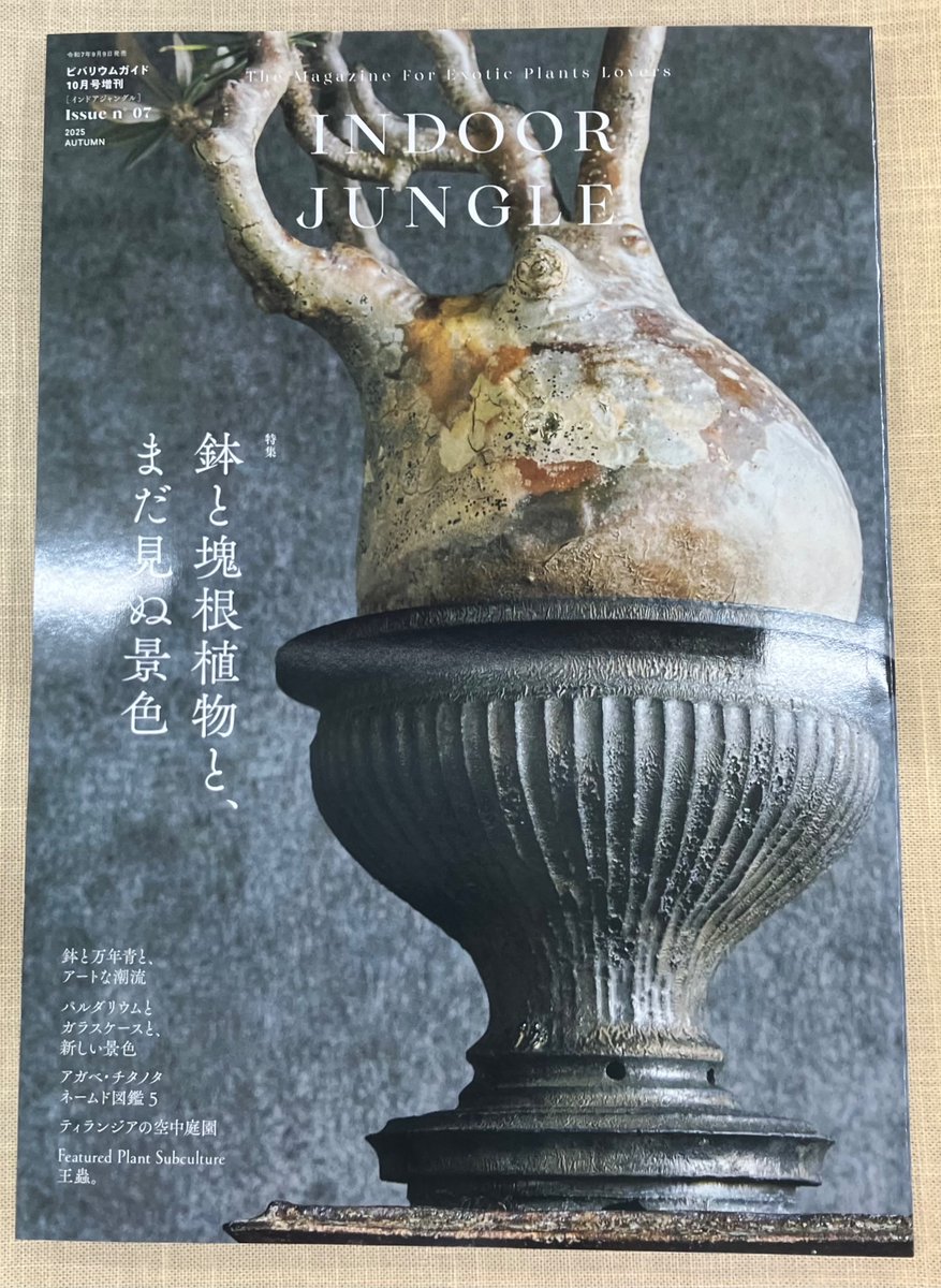 ［4階］「INDOOR JUNGLE Issue n゜07」エムピージェー￥1,980
特集「鉢と塊根植物と、まだ見ぬ景色」
今回は植物を入れる「鉢」
#グランデいきもの 的に気になったのは珍奇植物をまんま編みぐるみにした王蟲さんの作品でした。
通販ページはこちら
本店➡x.gd/ovUiZ