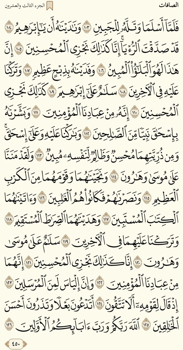 Shereef_Wagih79's tweet image. صباح الخير....ورد الثلاثاء