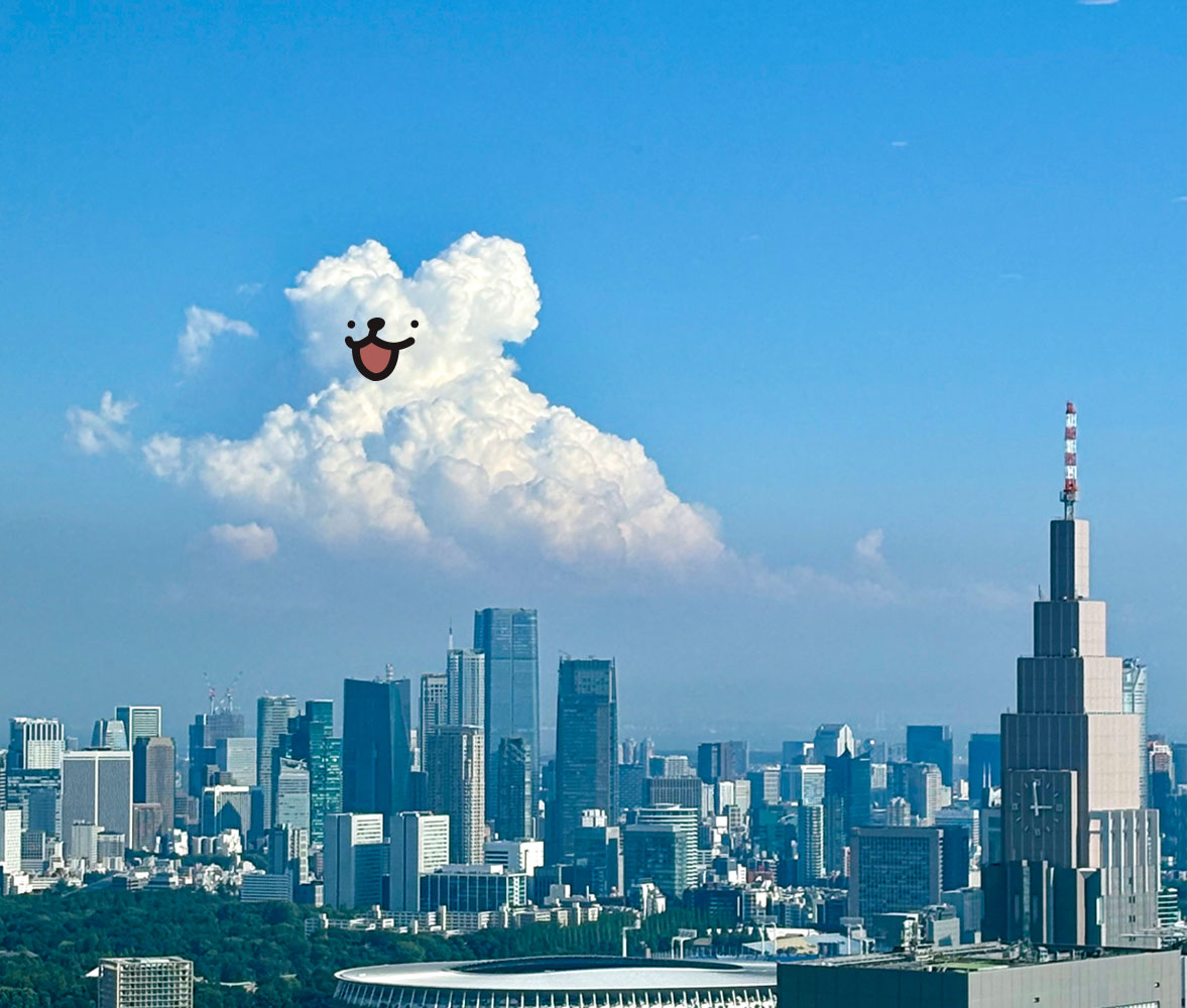 みんな〜！元気〜？☁️🐾