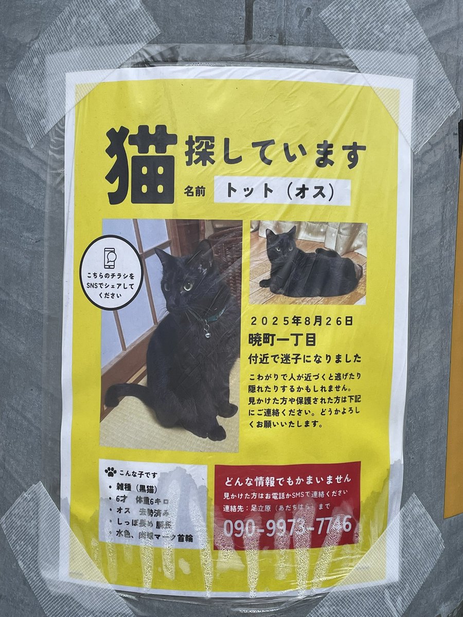 黒猫様 リクエスト まとめ買いページ くろねこ様 リクエスト 6点 まとめ商品 良様 リクエスト 6点