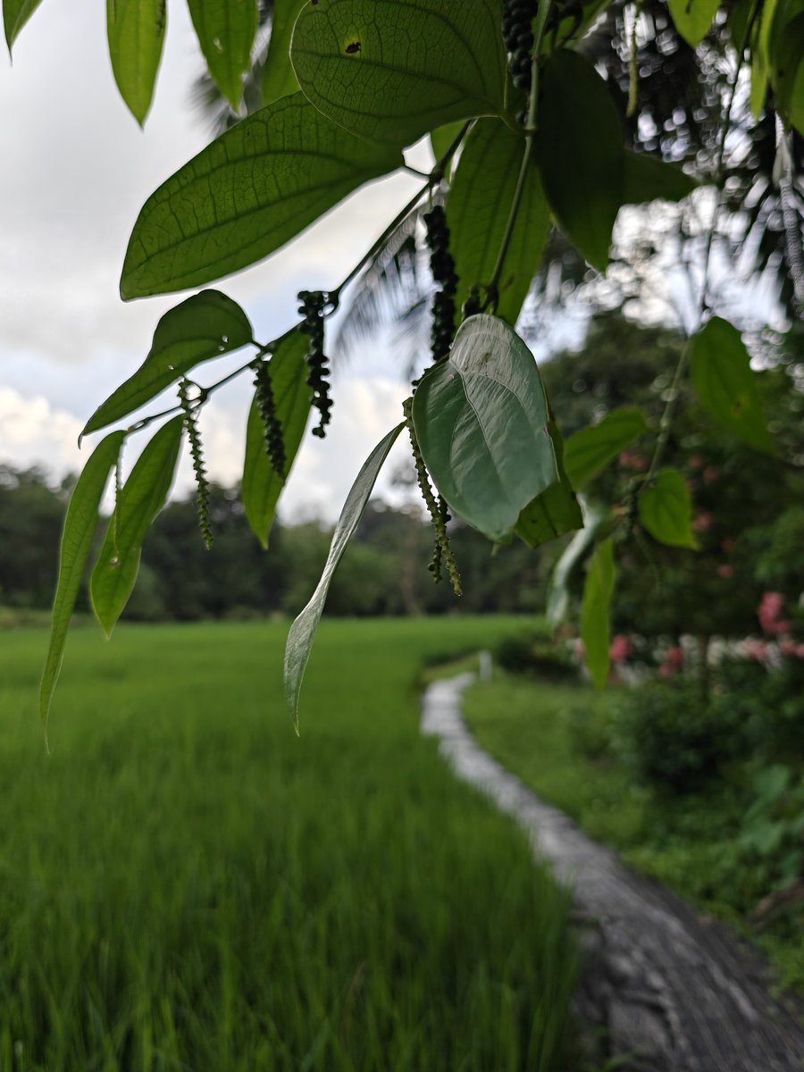 Retirement plans here :P