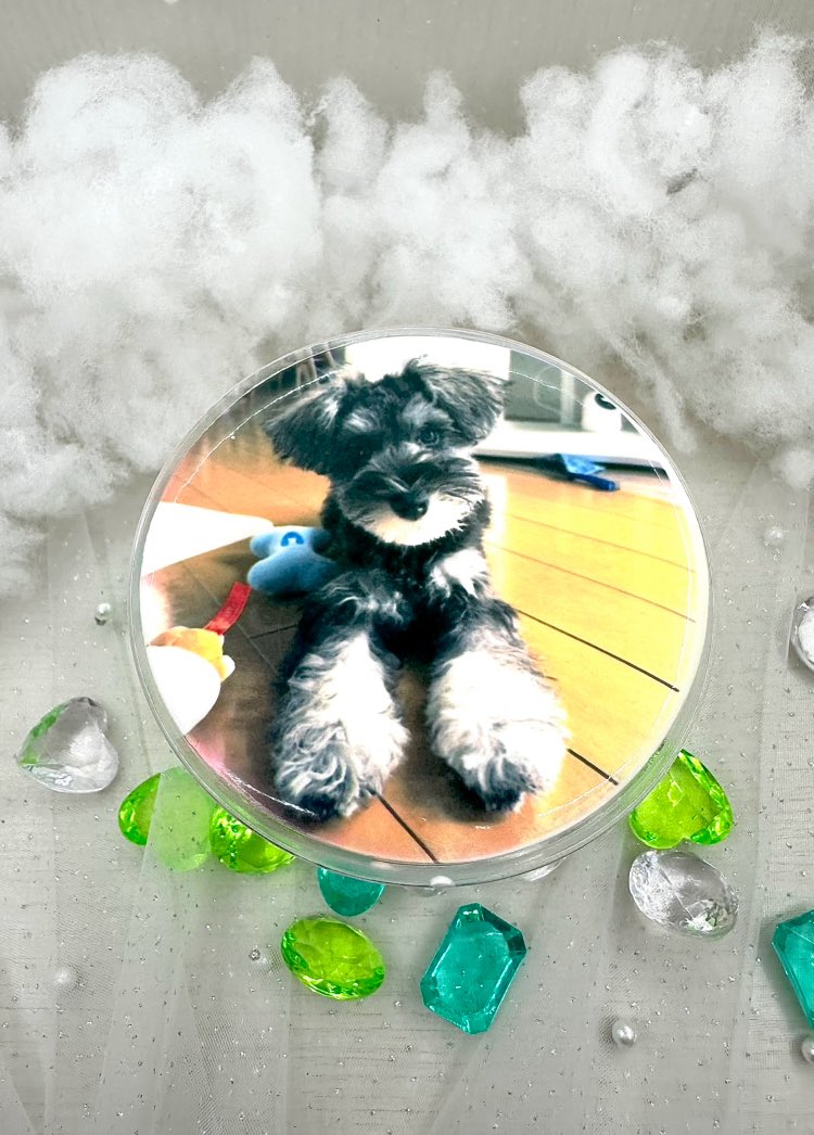 palcafe_cafepri's tweet photo. 子犬の頃のシュナウザーちゃんのお写真をプリントしてくださいました🐾

ふわふわな毛並みとつぶらな瞳がたまらなく可愛い一枚🫧

ドリンクと一緒に、思い出もぎゅっと詰まった仕上がりになりました💎

#シュナウザー #palcafe #京都 #円町 #犬 #カフェ #japantrip #kyototravel 
#カフェプリ https://t.co/ktG6m1Sxj2