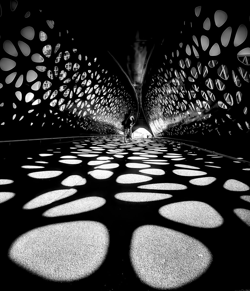 Heiki Plasschaert - Over the bridge - Antwerp, Belgique