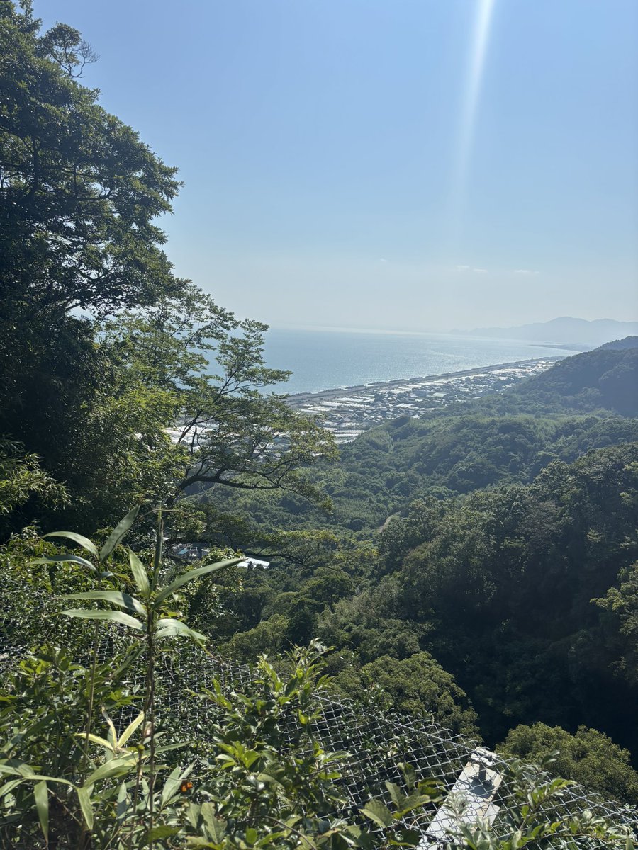念願の東照宮全制覇