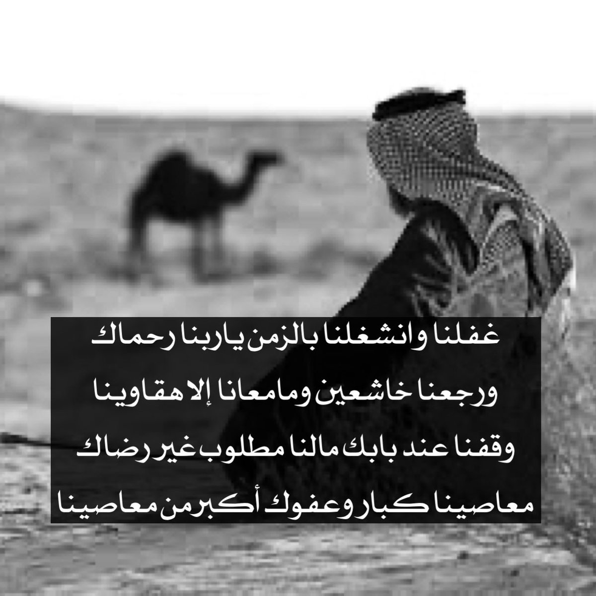 maeid_alsoheali's tweet photo. #صباح_الخير https://t.co/zQBgMOd9t3