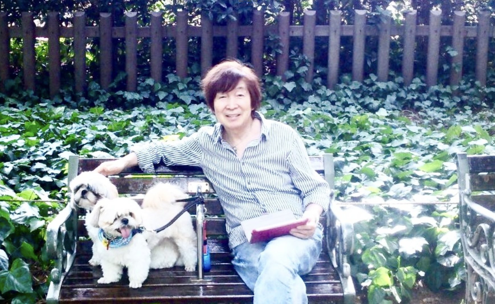 声優・古川登志夫（青二プロダクション） on X: 