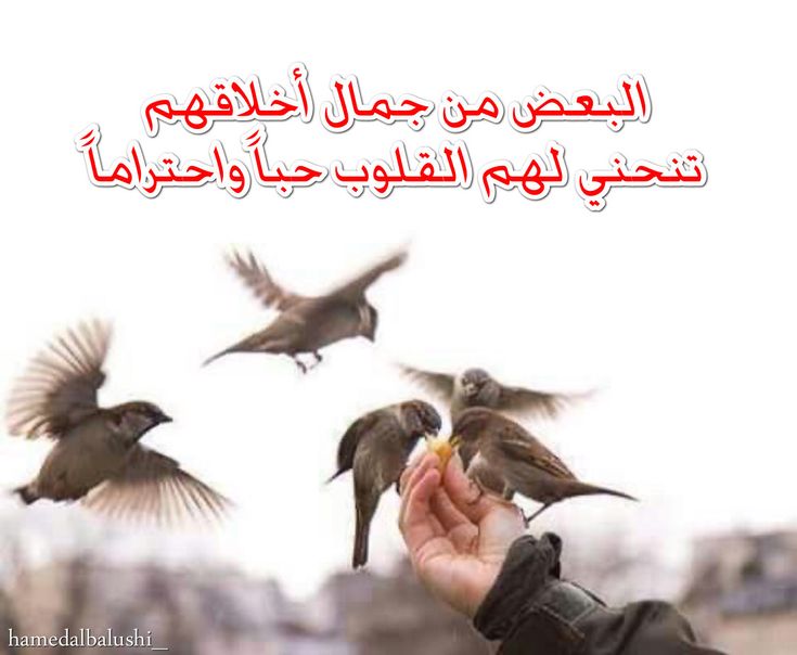 Abdullah M. H. / ابو محمد (@abdallamh3) on Twitter photo #كلمه_اغليك_لمن_تقولها..👇
اللّهم أنزل طمأنينتك على كل قلب أرهقته الحياة، وأنزل عافيتك على كل مريض يشكو من التعب، وأنزل رحمتك على من سكنوا تحت الثرى.. اللّهم يا جبار السماوات والأرض اجبرنا جبراً يليق بك، جبراً انت أهله ووليه برحمتك يا أرحم الراحمين..🤲
#صباحكم_غلا_أحبتي..🌹💚 #كلمه_اغليك_لمن_تقولها..👇
اللّهم أنزل طمأنينتك على كل قلب أرهقته الحياة، وأنزل عافيتك على كل مريض يشكو من التعب، وأنزل رحمتك على من سكنوا تحت الثرى.. اللّهم يا جبار السماوات والأرض اجبرنا جبراً يليق بك، جبراً انت أهله ووليه برحمتك يا أرحم الراحمين..🤲
#صباحكم_غلا_أحبتي..🌹💚
