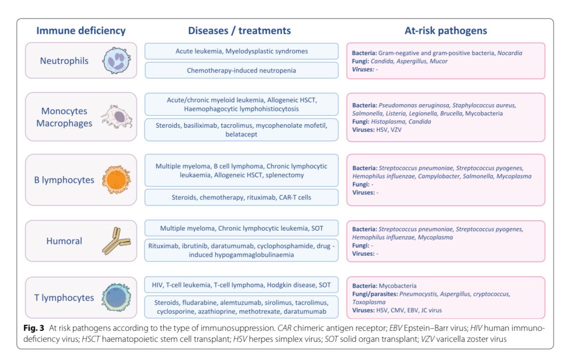 S.Enf.Infecciosas HRUM tweet media