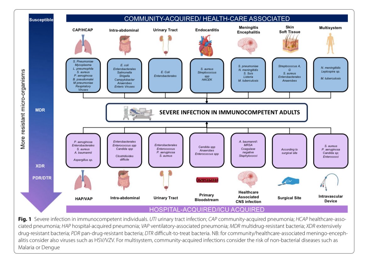 S.Enf.Infecciosas HRUM tweet media