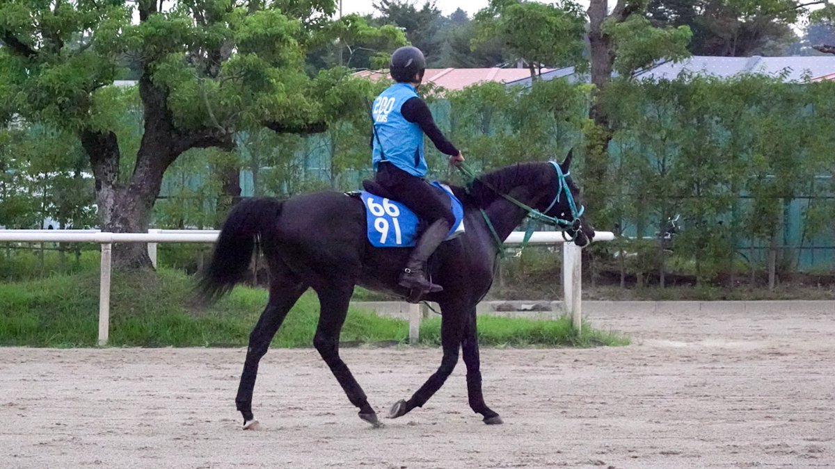 池添学
