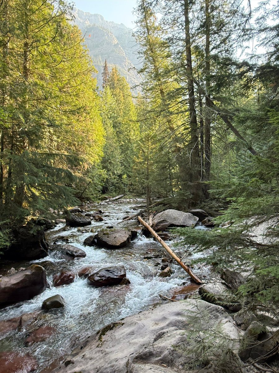 bestinfraa's tweet photo. The peaceful beauty of Glacier National Park is something else. Soaking in the sights and sounds of nature's masterpiece. #GlacierNPS #GoExplore #NaturePhotography https://t.co/6ogoaEH9ws