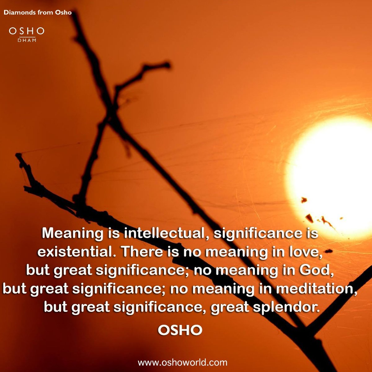 Osho Dham - Osho Dhyan Mandir (@oshodham_delhi) on Twitter photo 