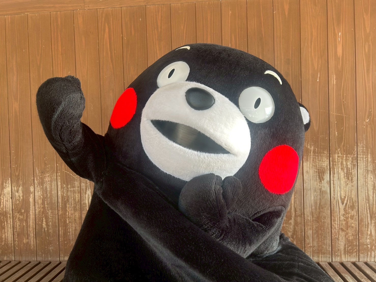 プロフィール確認くまくまもん！ くまモンプロフィール | くまモンランド