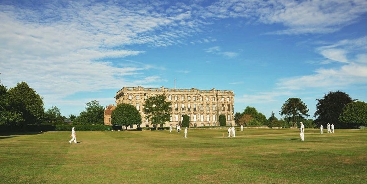 WG RumblePants tweet media