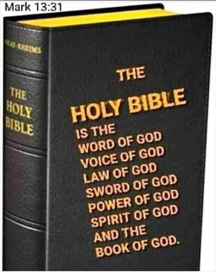 GNWS_DJT's tweet image. Got the protection of the ONLY living #GodJesus (Can you say the same)