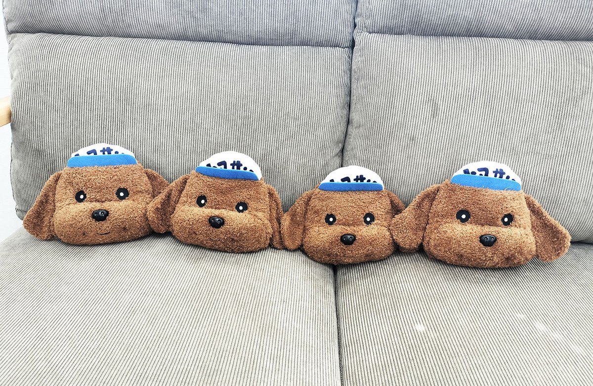 #豊洲サンセット #トヨサン　もふポーチ

シンプルに、ぬいぐるみとして愛でていただけます🐶

表情にそれぞれ個性がありますので、
出会いを楽しんでくださいね☺️

紐を通せるループ付き。
みなさまの素敵なご使用例、楽しみにしています🐶