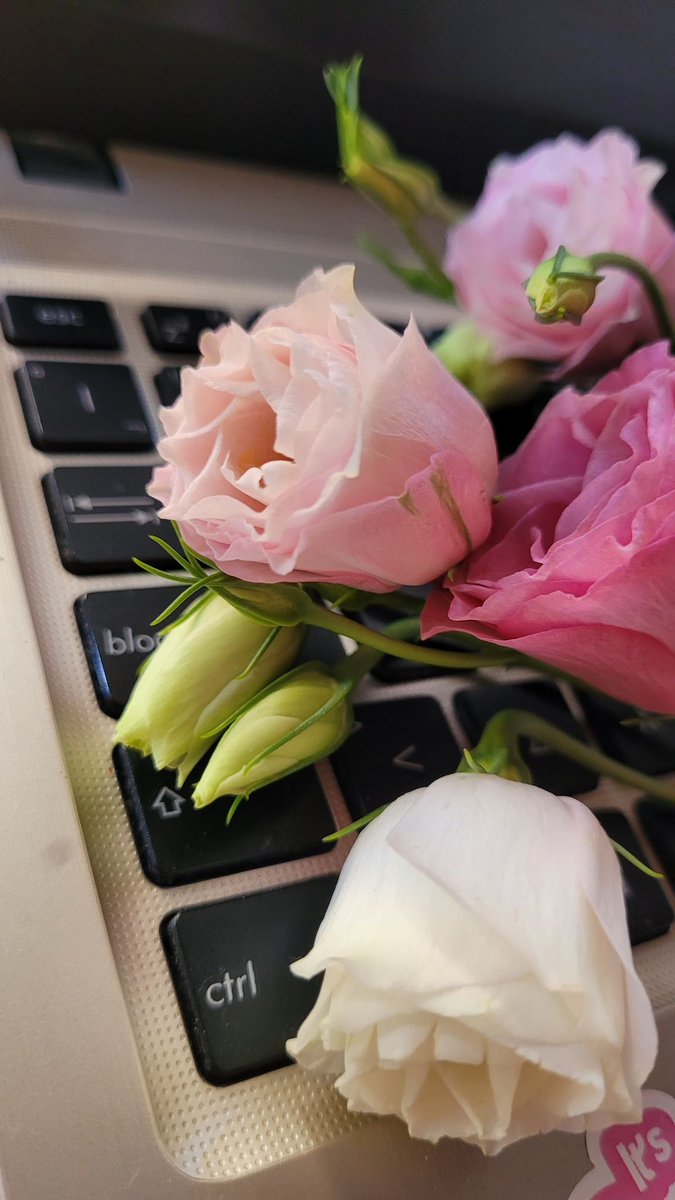 Dal_aal's tweet photo. كلمة “أغليك” ما تنقال لأي أحد عابر..
تنقال للي له مكانة خاصة، للي مو بس تحبه، بل تعتز فيه وتقدّره، للي وجوده يفرق معك وتخاف تخسره ❤️ #كلمه_اغليك_لمن_تقولها https://t.co/DEvTUk0KSZ