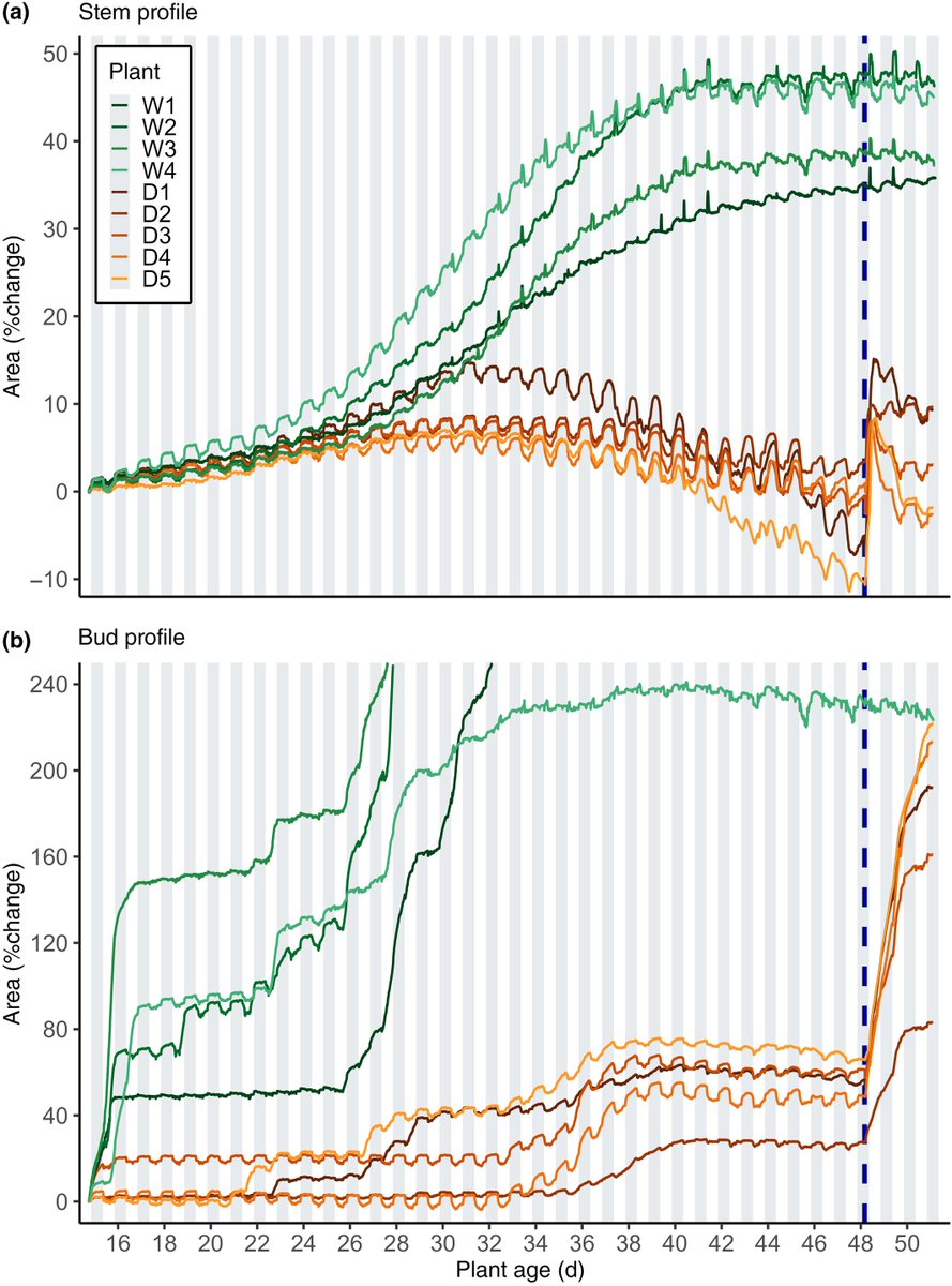 New paper in
<a href="/NewPhyt/">New Phytologist</a>
Basal axillary buds in pea are hydraulically connected to the stem but are protected during drought by osmotic adjustment

<a href="/Here_be_dicers/">Christopher Ray</a> <a href="/CoEPlantSuccess/">ARC Centre of Excellence for Plant Success</a> <a href="/JazHumphreys/">Jazmine Humphreys</a> 
 nph.onlinelibrary.wiley.com/doi/10.1111/np…