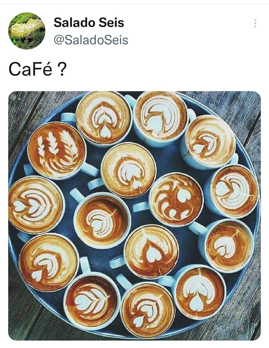 Salado Seis (@saladoseis) on Twitter photo 