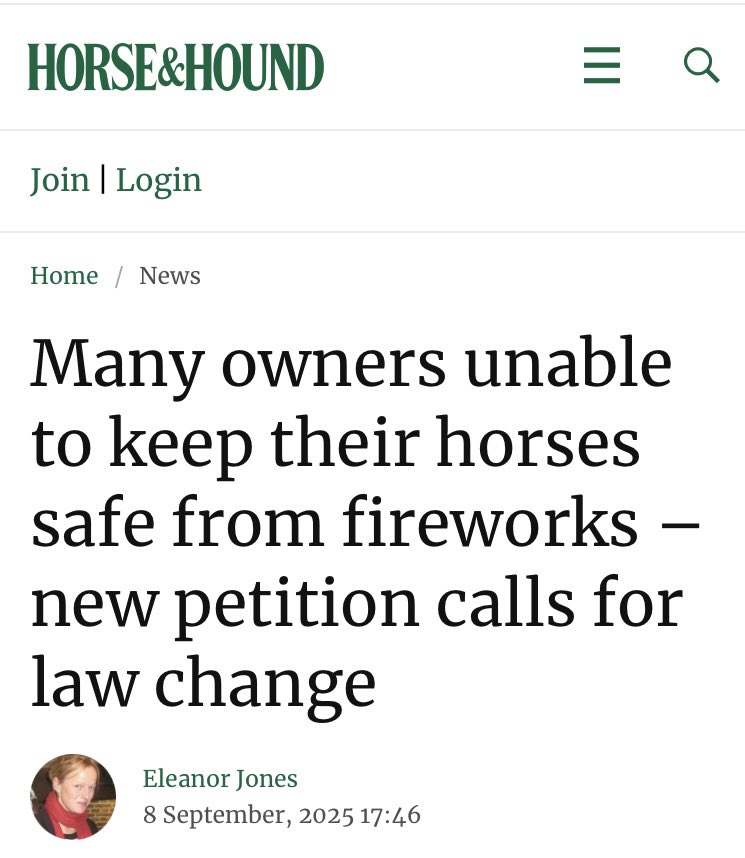 Firework Campaign tweet media