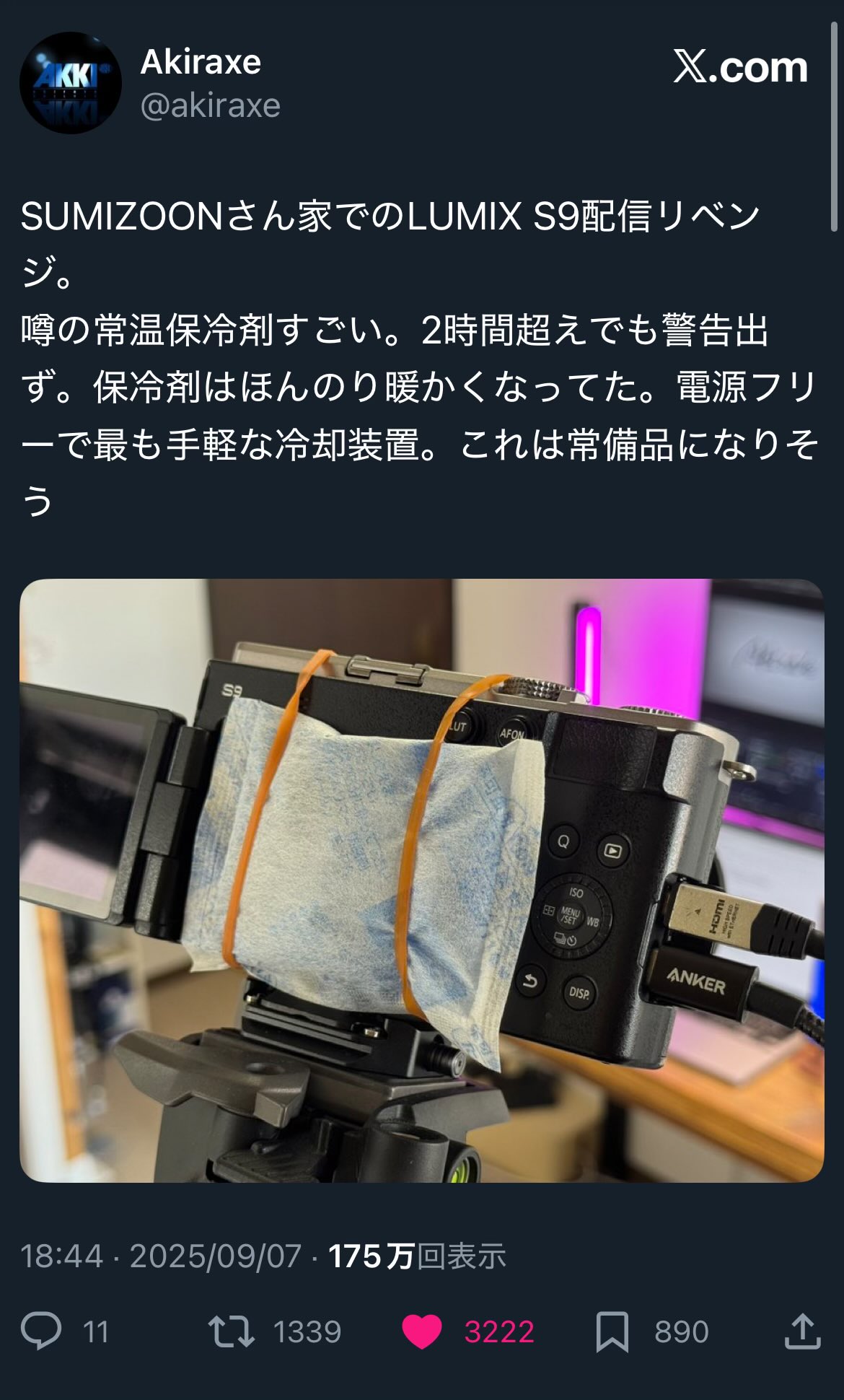 スズメさん専用出品 と〜た on X: 