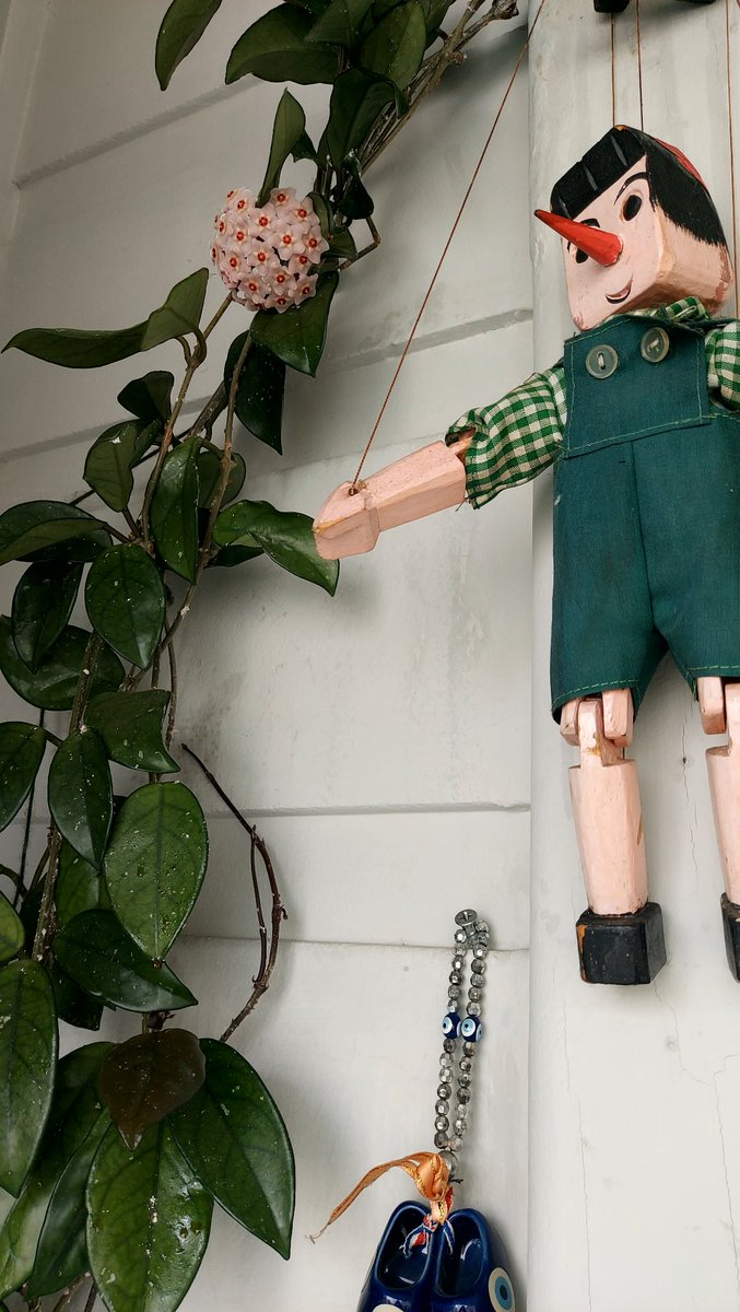 ...sabah süprizi 
açmam için ilkbaharı bekleyemem
an bu an
bende yol almalıyım deyip
sabah çiçekleriyle güne merhaba dedi.

Öyleyse
Sevgiye, umuda, adalete, yaşamın getireceği katkılara ve sürprizlere, birlik ve beraberliğe bizden de
MERHABA...

Günaydınnn güzel insanlar ☕️🕊❤️