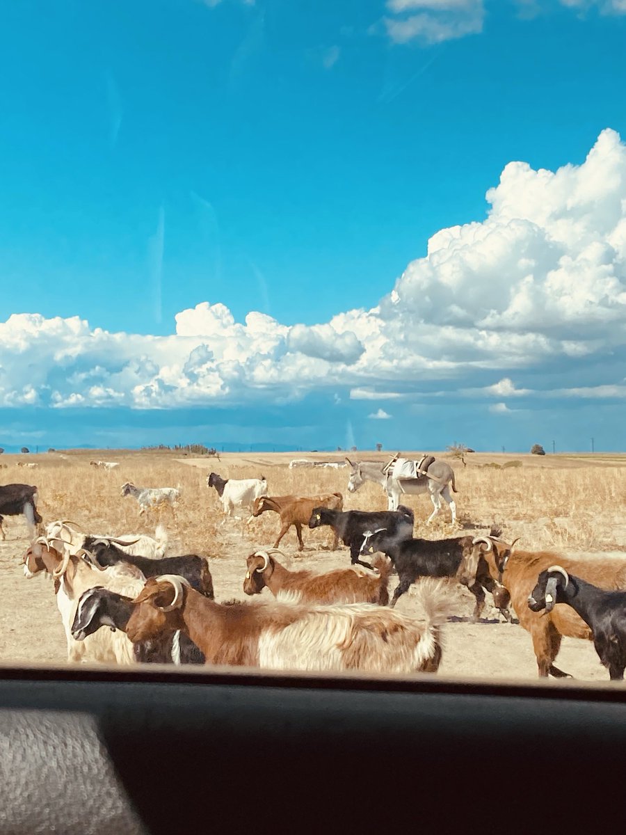 Bir Yol Manzarasından
Evli Evine……
Merhaba🩵