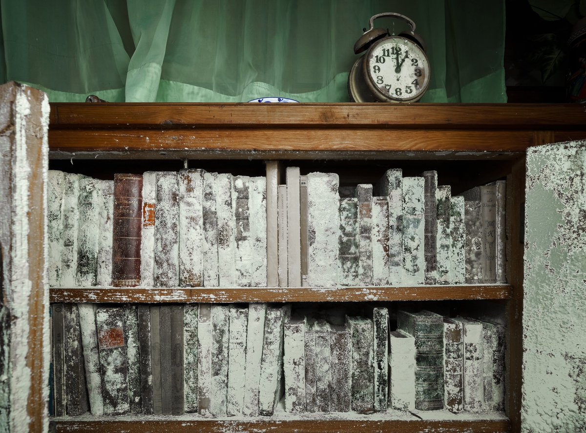 Un dels llocs més bèsties que he visitat mai pel nivell de decadència: intacte, però menjat per la humitat, que es feia ben present en respirar i visible a cada racó.

Bon dia.