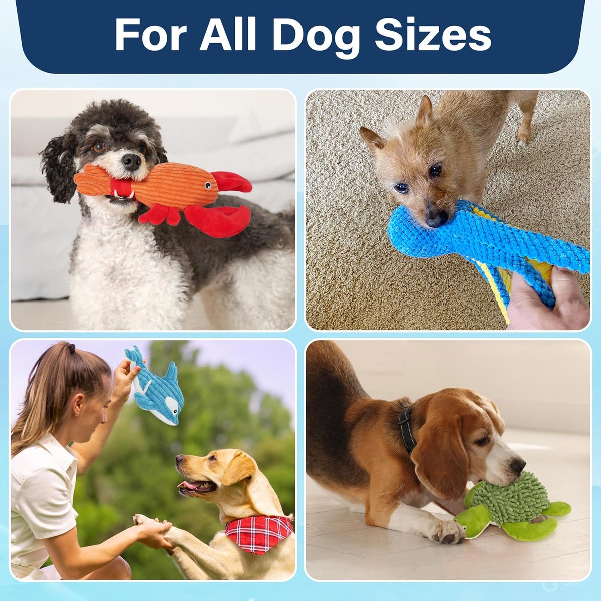 LotFancy's tweet photo. Super cute ocean friends for your doggies!🐟🐬
Unique design by Prime Pets🐾 Built-in squeaker keeps your doggies entertained!🤩
https://t.co/tOBgMTA3HK

#plushtoys #DogLovers #puppylove #amazonfinds #dogtoys #puppylife #doglove #primepets #lotfancy #doggylove https://t.co/3B8OXysO3S