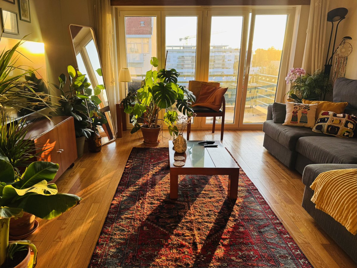 ElnazFe's tweet image. هر روز ‌با دیدن این نورها میتونم زندگی رو جشن بگیرم. ✨