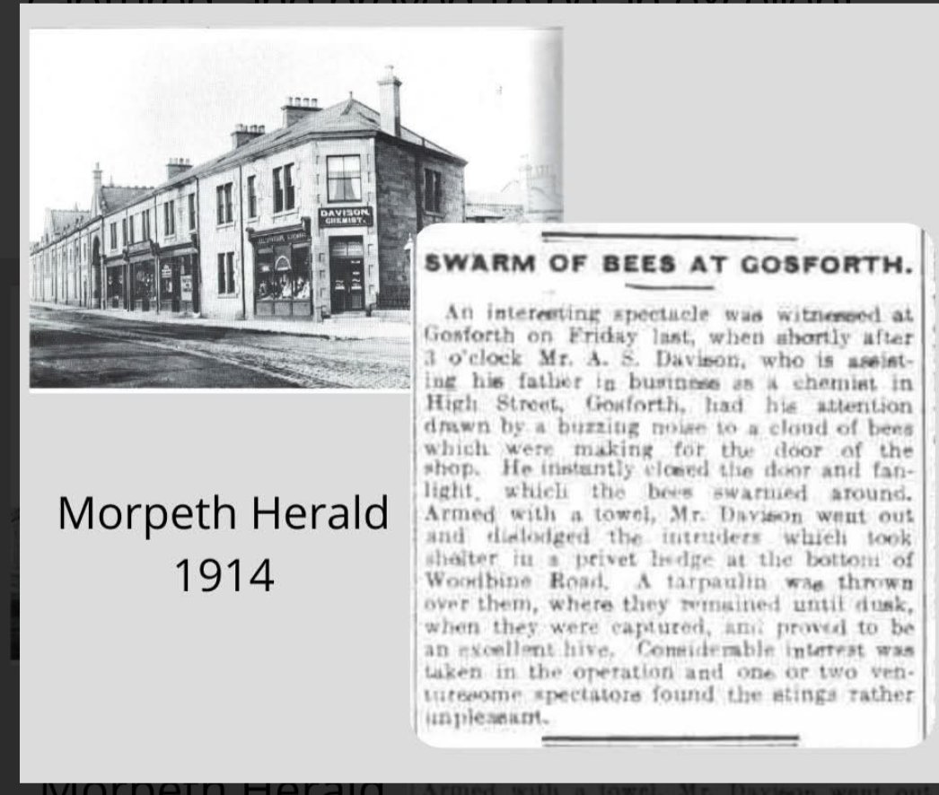 Fiona Malkin|Your House History tweet media