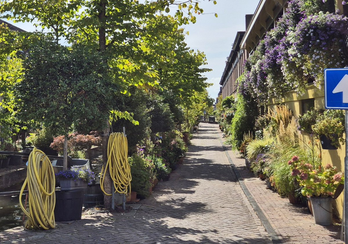 NandaSluijsmans's tweet photo. #Stadsgenoten in #Leiden gaan los met #groen🌿🌻🍃🌳! Zie dit straatje. Supergroen🤩. Inclusief jacuzzi!!😅 De auto kan er gewoon doorheen, als gast. Want het is nu vooral een #tuinstraat🌿🌸 voor de bewoners om te verblijven en doorheen te wandelen.

#Leefstraatjes https://t.co/ffQBkp8oiN