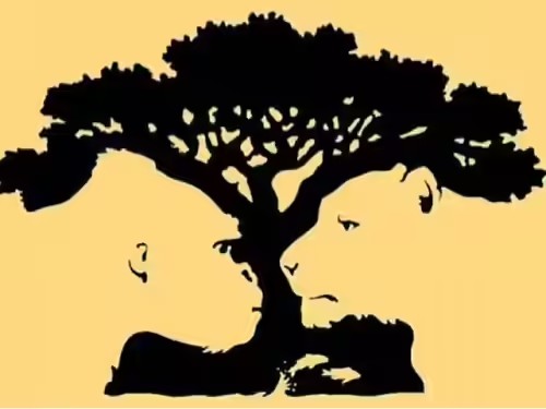 step_sauls's tweet photo. I'm a sucker for an optical illusion🙃 
What do you see first? 👀 https://t.co/hnXKwt1nLz