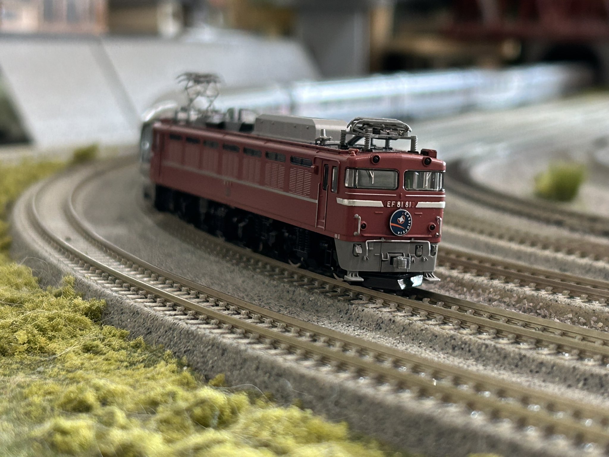 Izuさん専用　鉄道模型 Izuさん専用 鉄道模型 Izuさん専用 鉄道模型